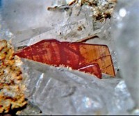 /album/galerie-photos/pourtalet-espagnol-brookite-6263-mod1-jpg1/